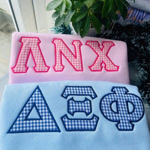Puede incluir: Dos sudaderas, una rosa y otra azul claro, cada una bordada con letras. La sudadera rosa presenta las letras "ANX" en un patrón de cuadros rosa y blanco. La sudadera azul muestra letras griegas en un patrón de cuadros azul y blanco.