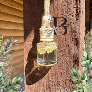 Hanging Car Diffuser