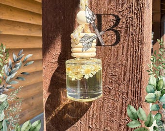 Hanging Car Diffuser
