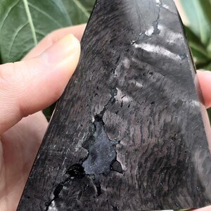 A large Hypersthene freeform with shimmering chatoyancy and a natural, unpolished edge, held in a hand.