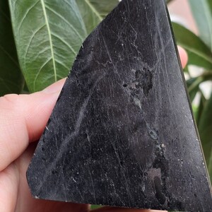 May include: A triangular, polished black stone with visible veining and a slightly textured surface. The stone is held in a hand, with green foliage in the background. The shape is reminiscent of a wedge or a fragment.