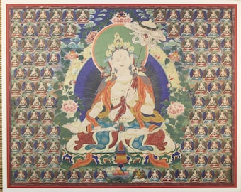 Sitatapatra Dukkar Ombrello bianco divinità tibetana Thangka