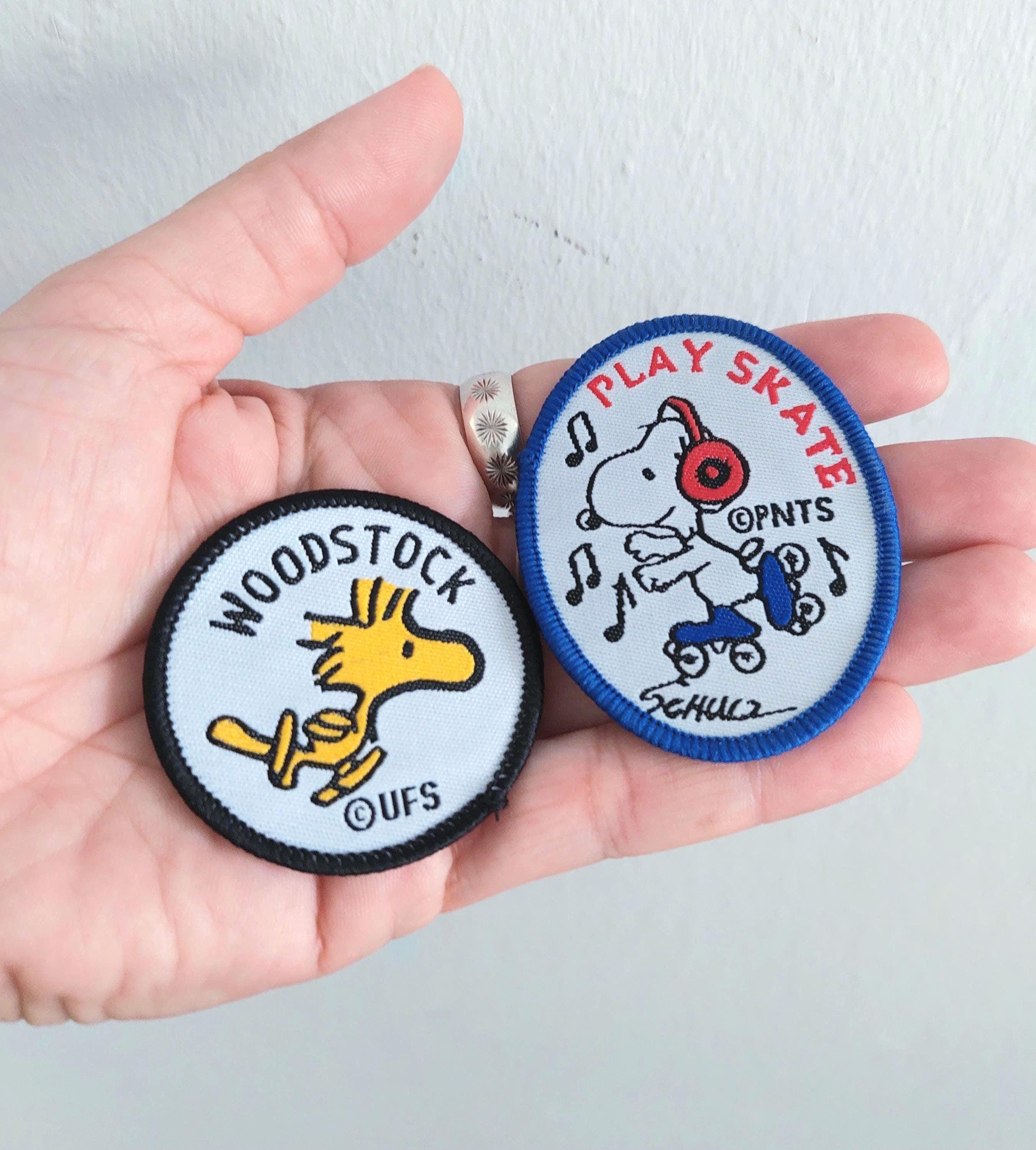 ⚡RARE⚡ ERSTWILDER Snoopy & Woodstock On The Road Pin