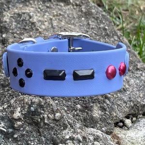 May include: A light blue dog collar with black and red accents. The collar has a silver buckle and is decorated with black and red gemstones.
