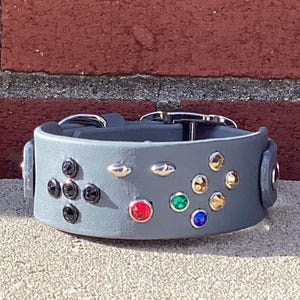 May include: A gray dog collar with a silver buckle and studded with various colored rhinestones. The collar has a series of black, silver, red, green, gold, and blue gems. The collar is made of a thick, durable material.