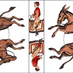 May include: A vintage illustration of a donkey with a rider in a red and white jockey outfit. The donkey is brown with a white saddle and bridle. The rider is holding the reins and is wearing a red cap. The illustration is divided into three sections, showing the donkey from different angles.