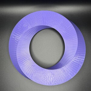 May include: A purple 3D printed Mobius strip, a continuous loop with a twist, creating a single surface with no beginning or end.