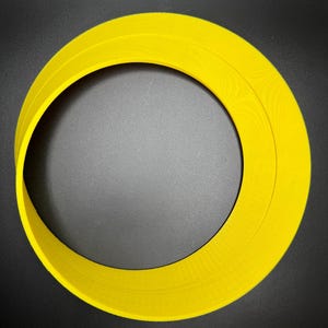 May include: A yellow plastic ring with two concentric circles. The ring is approximately 25 cm in diameter.