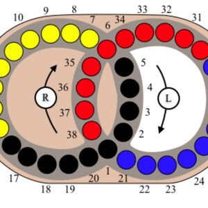 May include: A diagram featuring two overlapping circles containing thirty-eight numbered positions. The left circle contains yellow and black circles, while the right circle contains red, black, and blue circles. Arrows indicate rotation around R and L centres.