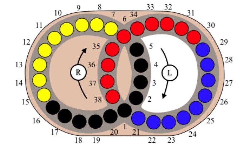May include: A diagram featuring two overlapping circles containing thirty-eight numbered positions. The left circle contains yellow and black circles, while the right circle contains red, black, and blue circles. Arrows indicate rotation around R and L centres.