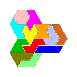 Op de afbeelding: Een kleurrijke geometrische puzzel bestaande uit 10 stukken. De stukken zijn gevormd als zeshoeken en driehoeken en zijn gerangschikt in een bloemvormig patroon. De kleuren van de stukken zijn roze, magenta, cyaan, geel, oranje, rood, blauw, groen, bruin en lichtgroen.