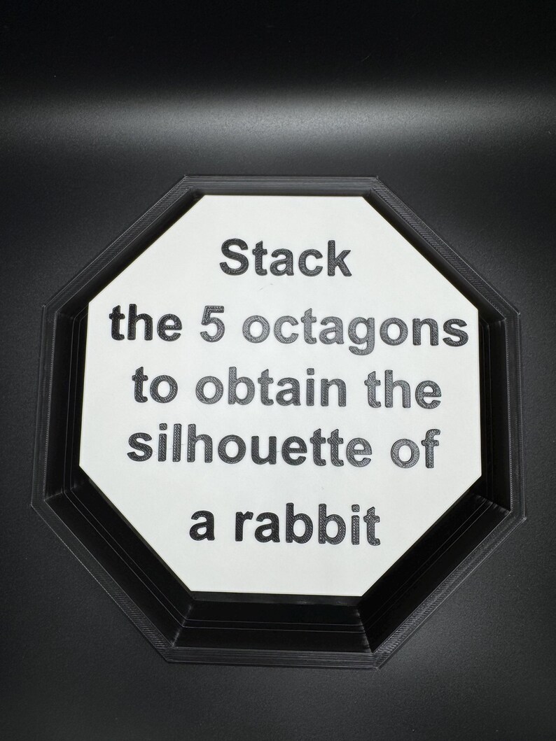 Konijnenpuzzel - Silhouettoscope, Question du Lapin, dubbelzijdige achthoeken, stapelbare leuke puzzel voor kinderen, perfect cadeau om te leren en spelen afbeelding 3