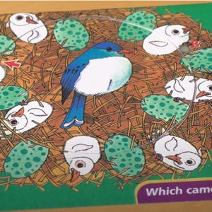 May include: A colorful children's puzzle featuring a bird in a nest with eggs and baby birds. The puzzle has a green border and the text "Which came first?" is visible at the bottom. The bird is blue and white.