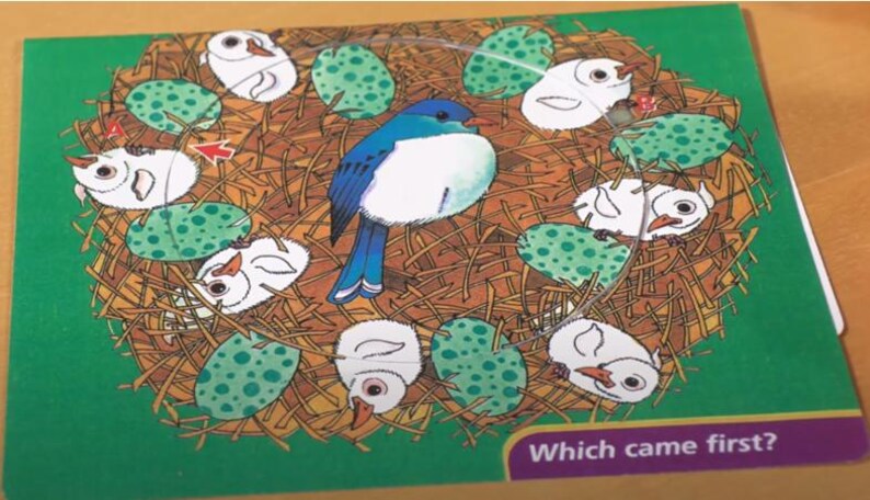 May include: A colorful children's puzzle featuring a bird in a nest with eggs and baby birds. The puzzle has a green border and the text "Which came first?" is visible at the bottom. The bird is blue and white.