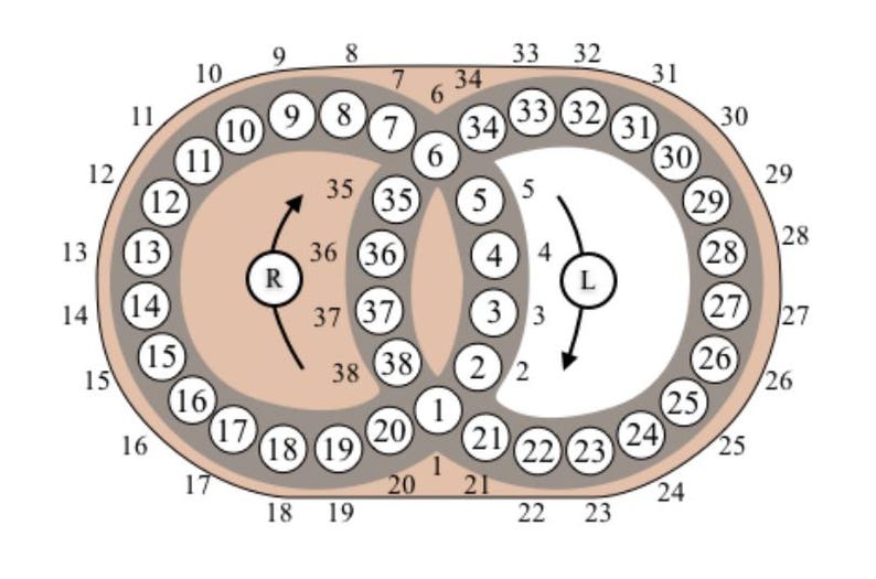 May include: A diagram featuring two overlapping circles forming an infinity shape. The left circle contains the letter R with an arrow, and the right circle contains the letter L with an arrow. Numbered circles from 1 to 38 are arranged along the paths.
