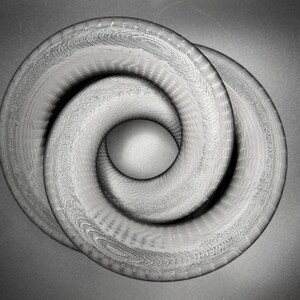 May include: A grayscale, abstract sculpture featuring two intertwined, torus-shaped forms. The forms have a textured surface with concentric circular patterns, creating a sense of depth and complexity. The background is a smooth, dark gray.