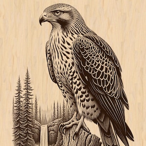 Pode incluir: Ilustração detalhada em tons sépia de um falcão empoleirado num tronco de árvore, com uma floresta e uma cachoeira ao fundo. O falcão é retratado com detalhes intrincados de penas, com um tema vintage inspirado na natureza.