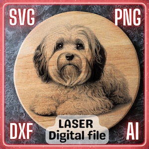 May include: A digital file of a black and white line drawing of a small dog with fluffy fur, sitting on a wooden surface. The image is labeled "Laser Digital File" and includes the file formats SVG, PNG, DXF, and AI.