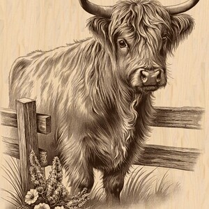 May include: Sepia-toned illustration of a Highland cow standing near a wooden fence and wildflowers. The cow has long, shaggy fur and large curved horns. The artwork is detailed, with shading and texture.