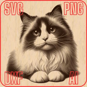 May include: A black and white drawing of a cat with white fur on its chest and paws. The cat is looking at the viewer with a serious expression. The drawing is on a wood-grain background.