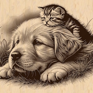 Puede incluir: Ilustración en tonos sepia de un perro Golden Retriever acostado con un gatito atigrado descansando sobre su cabeza. El perro y el gato están rodeados de hierba alta, creando una escena pacífica. La obra de arte tiene una apariencia detallada y esbozada.