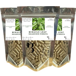 Extracto natural de hoja milagrosa 600 mg Cápsulas vegetarianas orgánicas de Kalanchoe Pinnata de Bali Tropical Herbal