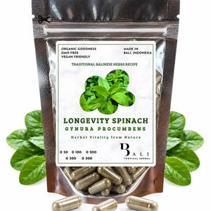 Op de afbeelding: Een hersluitbare zak met Longevity Spinach Gynura Procumbens kruidencapsules. Het etiket toont groene bladeren, de tekst Organic Goodness, GMO Free, Vegan Friendly, Made in Bali, Indonesia en de cijfers 50, 100, 200, 300, 500.