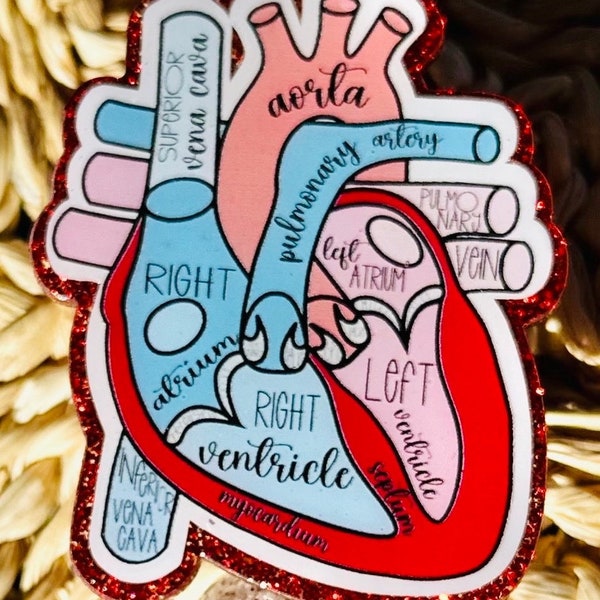 Anatomical Heart Badge Pull Reel, Nurse Badge Reel, Cardiac Nurse Badge Reel, ICU Nurse Badge Reel, ER Nurse Badge Reel, Nurse Gift, RN, Lpn