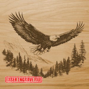 Eagle and Mountain Laser Engrave SVG File PNG File Laser File | Laserdatei | Laser Burn Lightburn | High Quality Laser Engrave File |