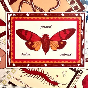 May include: An art print with a cicada design in shades of red and orange, with the words "forward", "beckon", and "rebound". The print is framed with a red and orange border with white stars. The print is surrounded by other decorative cards.