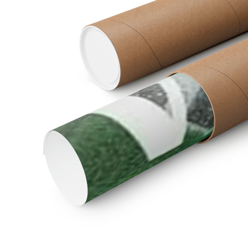 SZA Album Cover Matte Poster - Etsy