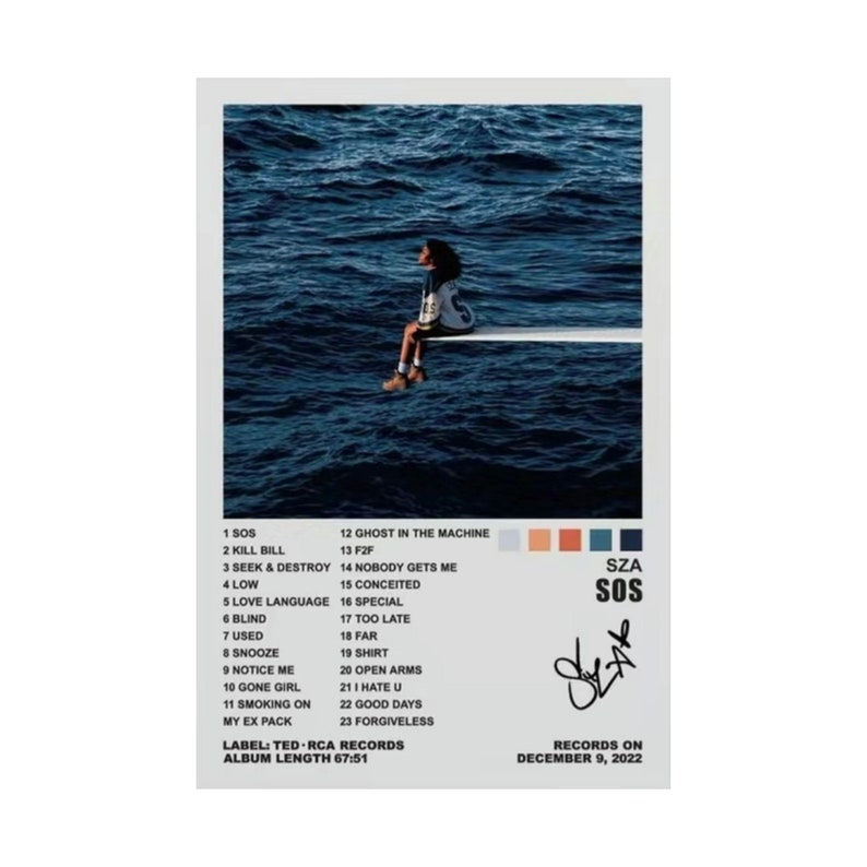 SZA SOS Album Cover Matte Poster - Etsy