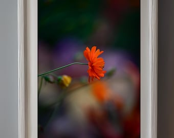 Radiant Orange Bloom – Vibrant Digital Floral Art Print
