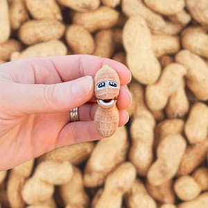 May include: A whimsical peanut figurine with a smiling face, held against a backdrop of peanuts in their shells. The peanut has a light brown color with a yellow top and blue eyes. The figurine is a fun, playful item.