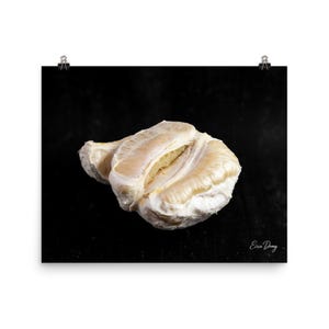 May include: A print of a peeled pomelo fruit, with pale yellow segments against a dark background. The fruit's texture and shape are highlighted, with the artist's signature in the bottom right corner.
