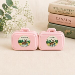May include: Two identical light pink ceramic suitcase-shaped ornaments, each featuring a circular decal of a deer in a forest landscape with the text New Brunswick printed above the animal. The items have a glossy finish and a top handle.