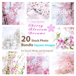 ソーシャルメディア用 20 枚の桜の正方形のストック写真バンドル Instagram 春の花のストック写真 桜のモックアップ JPG