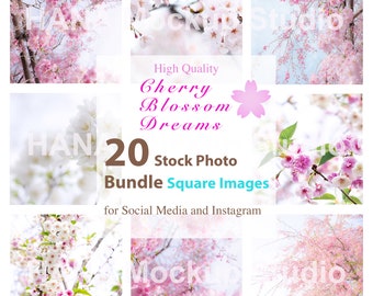 20 Cherry Blossom Square Stock Photos Bundle for Social Media Instagram Spring Floral Stock Photos Cherry Blossom Mockups JPG