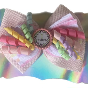 Monthly Milestone Headband Set for Baby's First Year - A Fun and Stylish Way to Track Growth
