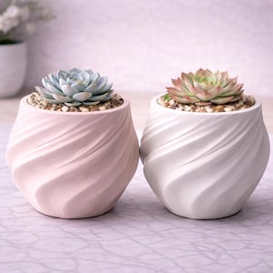 May include: Two succulent plants in decorative pots. One pot is light pink, the other is white. Both pots have a spiral design. The succulents are surrounded by small pebbles. The background is a soft, blurred color.