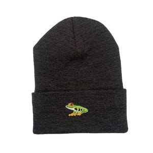 May include: A dark gray knit beanie with an embroidered green tree frog with orange eyes.