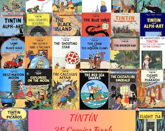 Tin Tin Comics-Buch