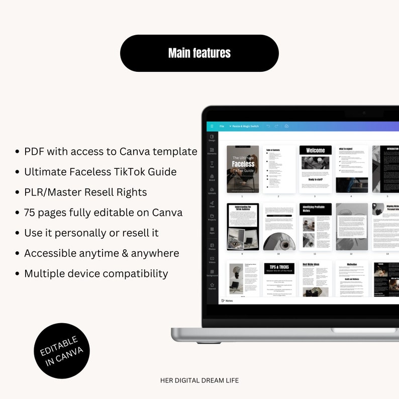 Done For You, Digital Products Plr