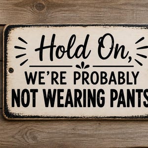 Op de afbeelding: Een rechthoekig metalen bord met een cr&egrave;mekleurige achtergrond en versleten zwarte randen. Het bord bevat zwarte tekst met de tekst "Hold On, WE'RE PROBABLY NOT WEARING PANTS", met decoratieve lijnen en kleine versieringen boven en onder de tekst.