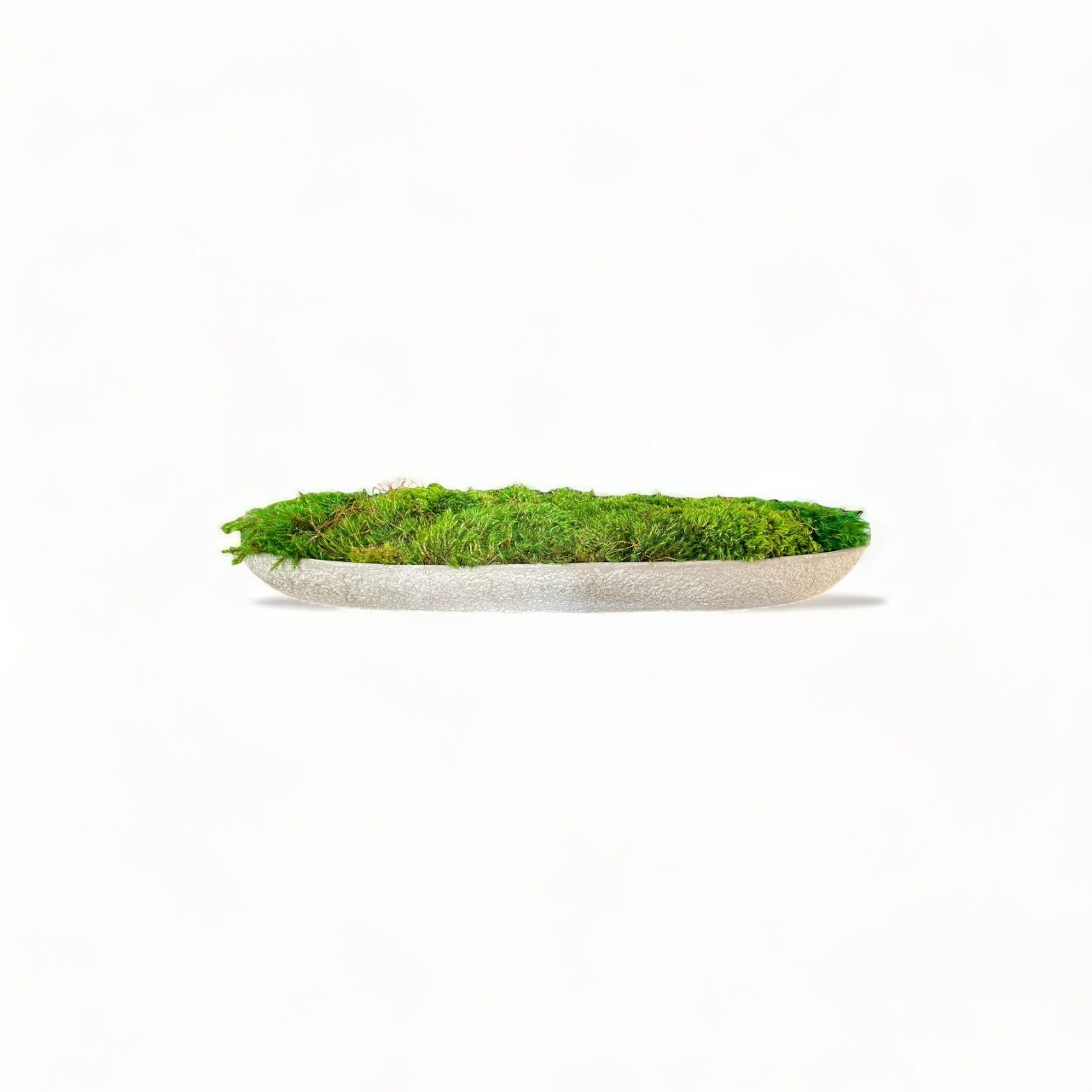 Concrete Moss Bowl 24 Round Dough Cement Dough Bowls With Natural