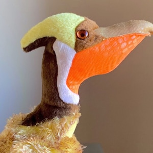 May include: A plush toy bird with a yellow head, brown body, and orange beak. The bird has a white stripe on its neck and a brown eye.