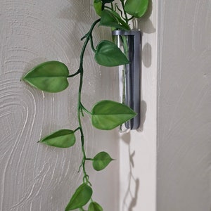 Reagenzglas Vermehrungshalterung
