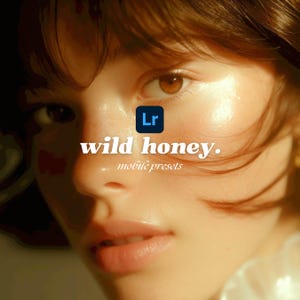 Wild Honey Lightroom Presets: Golden Hour Filters (DNG)
