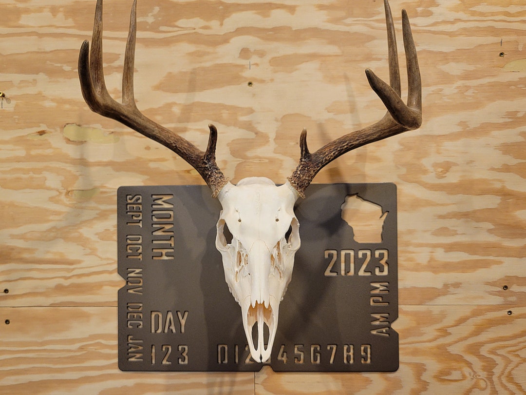 European Deer Mount Plaque - Personalized - Etsy
