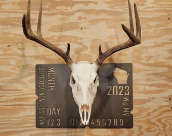 European Deer mount Plaque